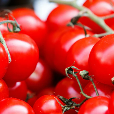 Grow Your Southern Garden Legacy
